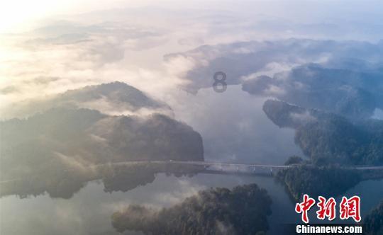 山东大姐卖炉包37年，儿子考上研究生，她说开心就是生活